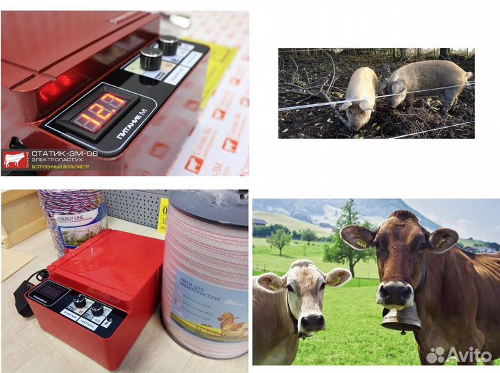 Электропастух