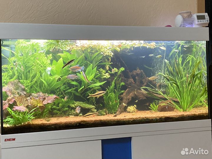 Аквариум Eheim Vivaline 180 литров