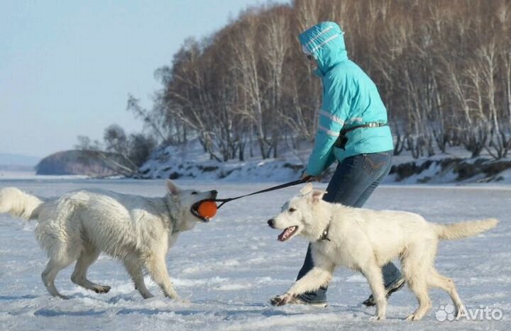 Игрушка для собак Doglike Мяч на ленте