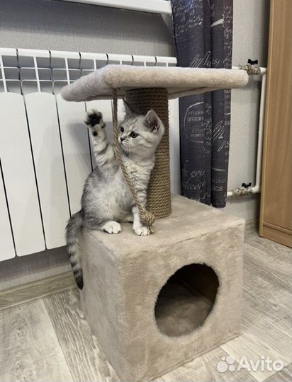 Домик для кошки с когтеточкой