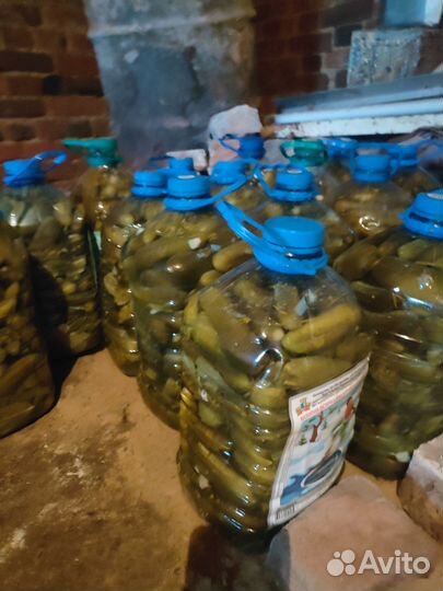 Огурцы соленые в бутылках