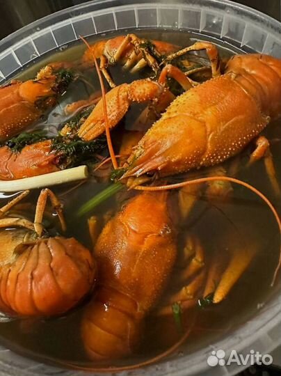 Раки живые и вареные