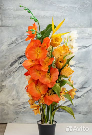 Многолетние цветы для интерьера