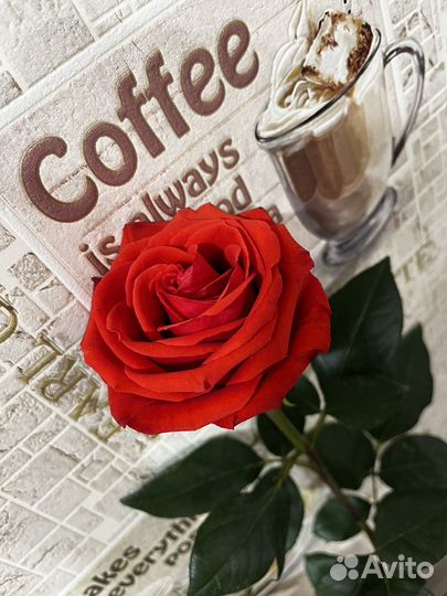 Вещи пакетом