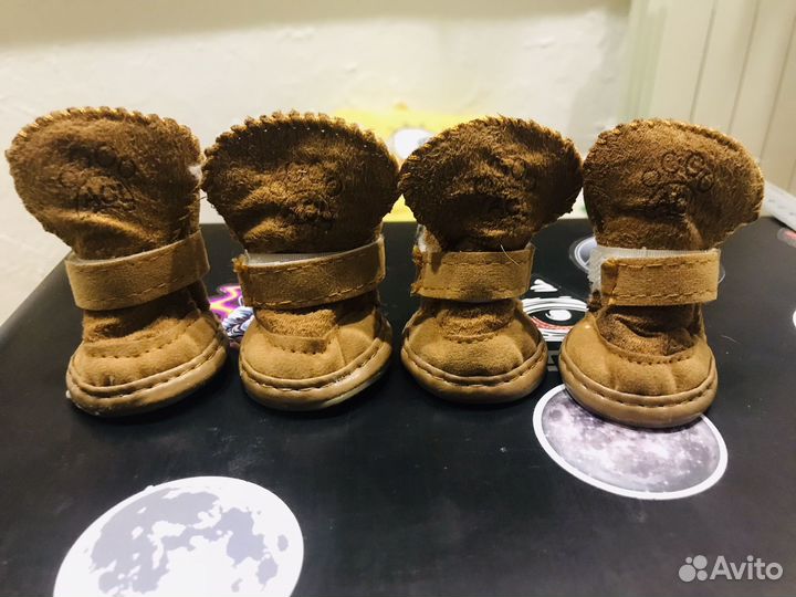 Ботинки для собаки