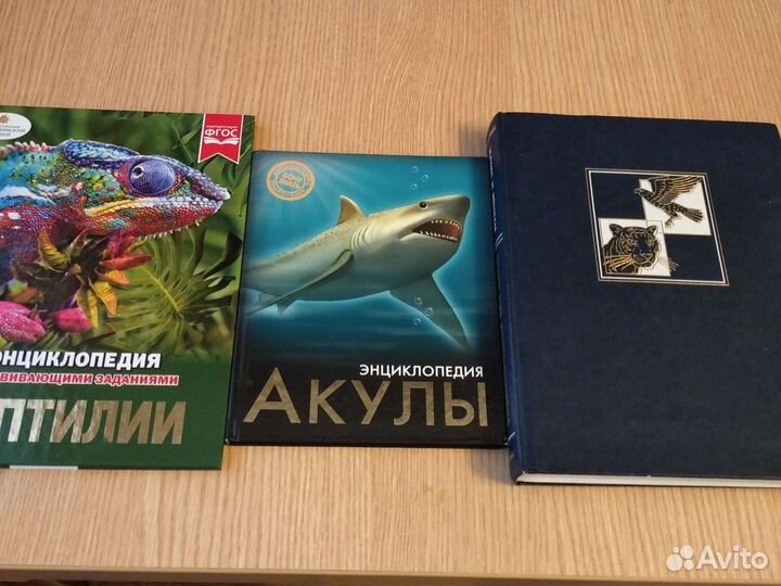 Детская энциклопедия