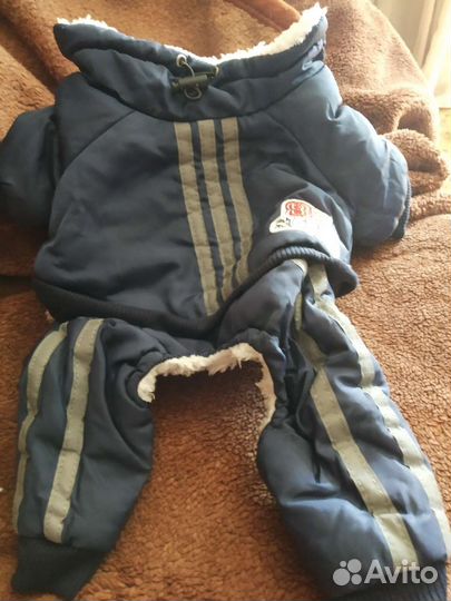 Л. Размер S 20,32 23спина. грудь. Шея