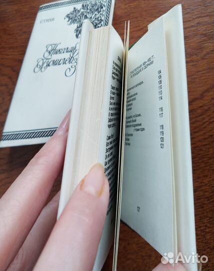 Николай Гумилев, Саша Черный