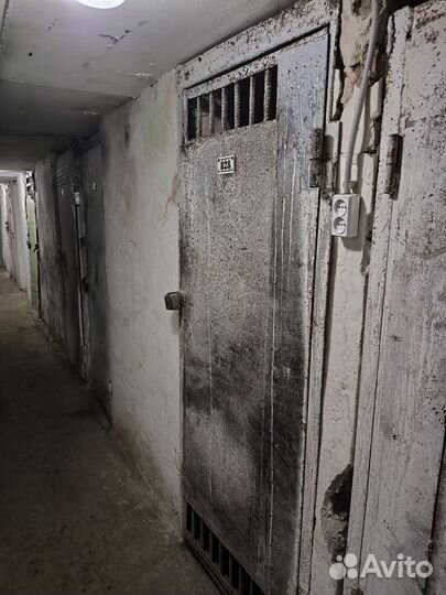 Ячейка В овощехранилище