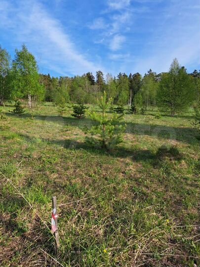 Участок 10 сот. (ИЖС)