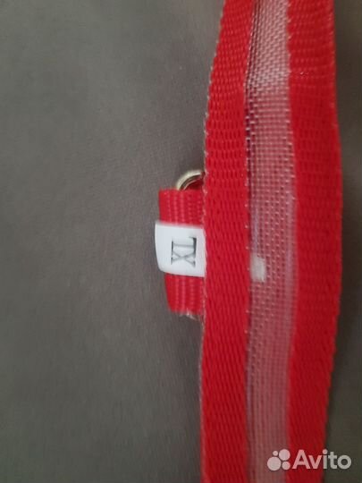 Светящийся ошейник