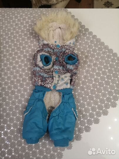 Одежда для собак мелких пород