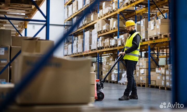 Грузчики с ежедневной оплатой