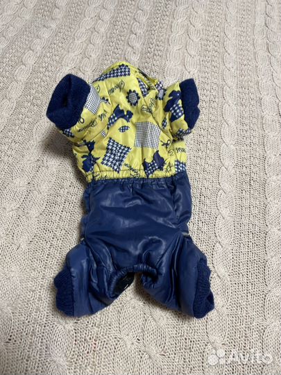 Одежда для собак