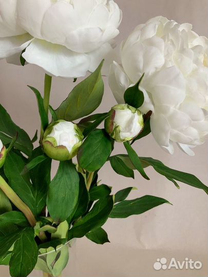 Цветы пионы искусственные цветы