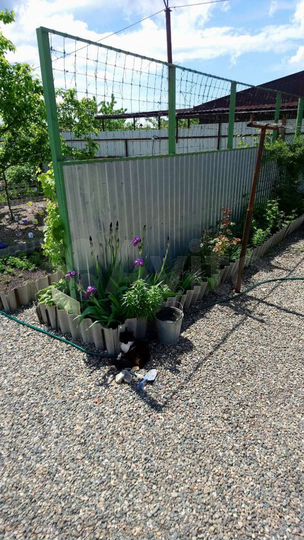 Дом 20 м² на участке 4,9 сот.