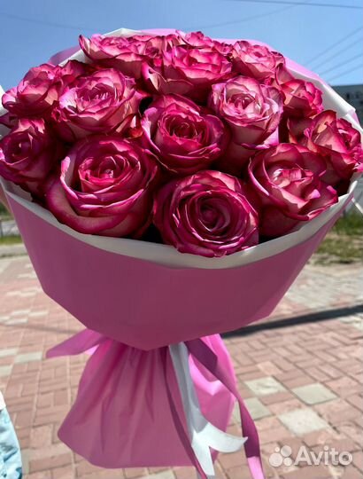 Розы Эквадор премиум класса