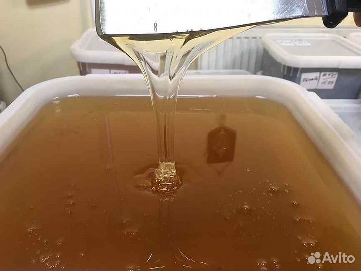 Мёд оптом всех сортов