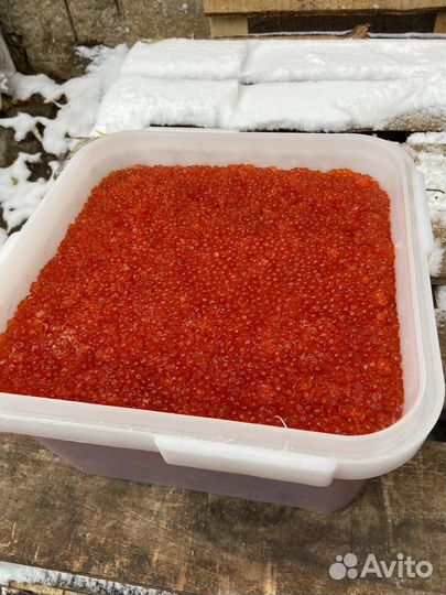 Икра кеты Камчатка