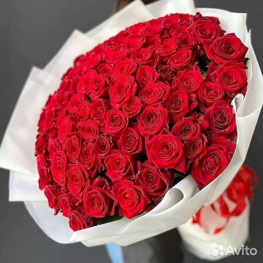 Высокие розы Гигантские розы Доставка цветов