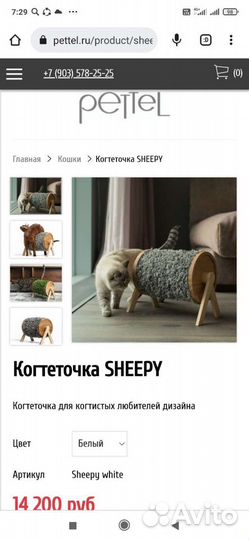 Когтеточка