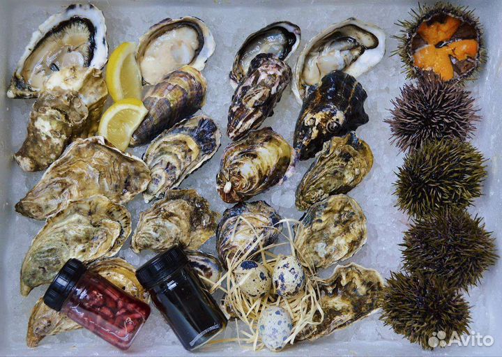 Устрицы,ежи, морепродукты
