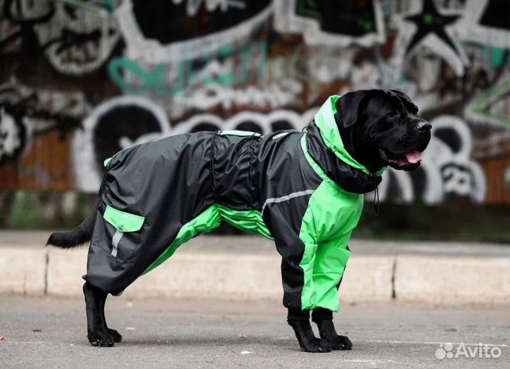 Одежда для крупных собак