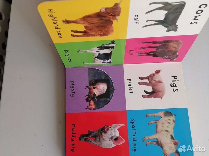 Первые слова на английском