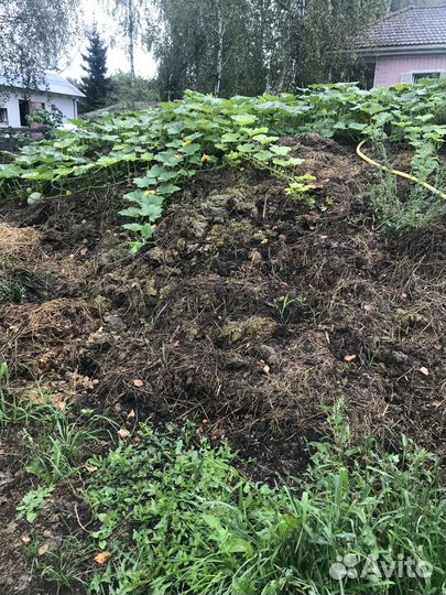 Навоз перегной бесплатно