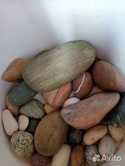 Фильтр, грунт, ракушки, коралл, компрессор