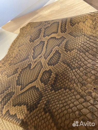 Кожа питона
