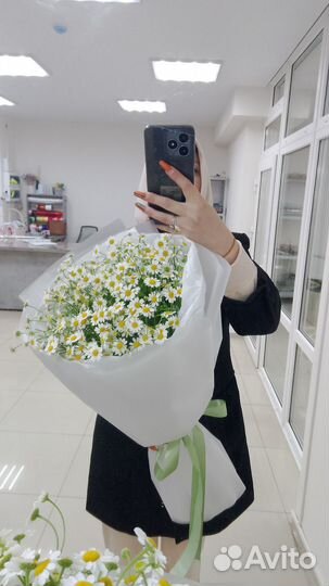 Цветы Букеты Ромашки Доставка Ставрополь