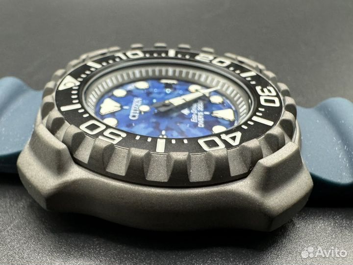 Citizen promaster eco drive