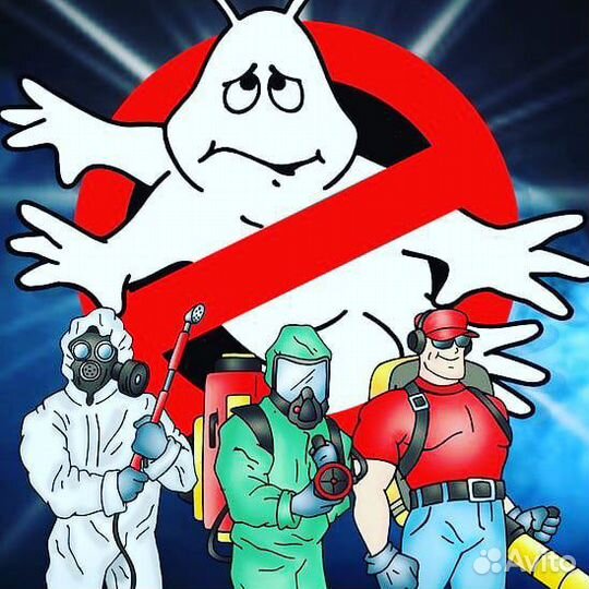 Уничтожение насекомых: тараканов, клопов, клещей и