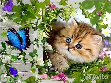 Алмазная мозаика 20*30 ассорти + рамка