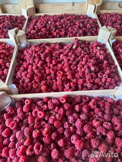 Клубника, малина