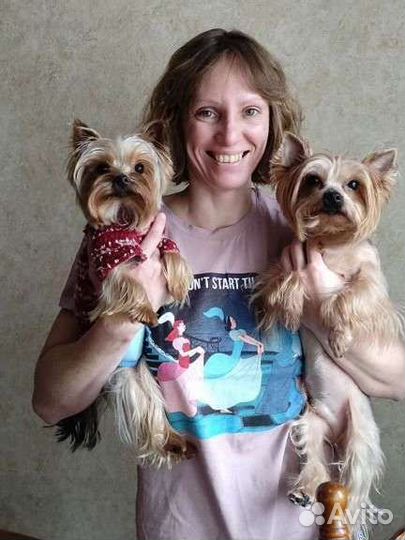 Передержка собак мини и малых пород