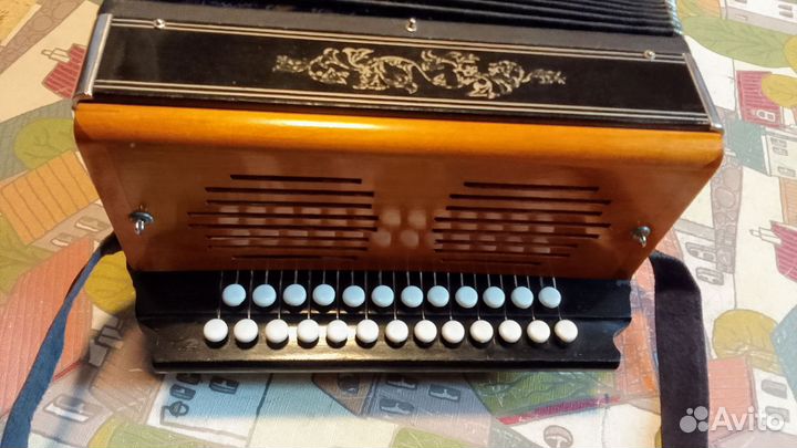 Гармонь Вологодская