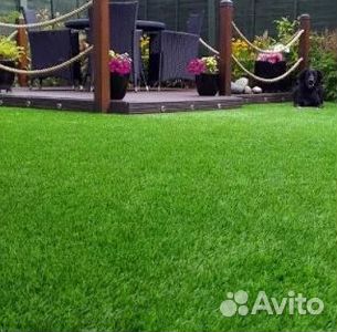 Продажа Рулонного газона