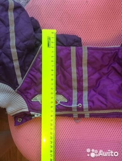 Комбинезон для собачки (кобель)