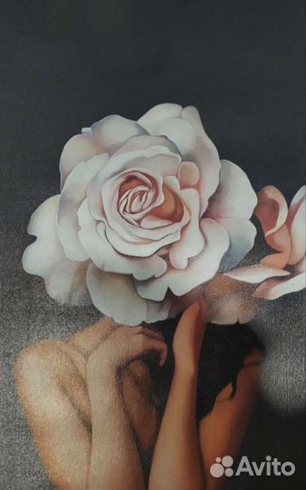 Картины Эми Джадд