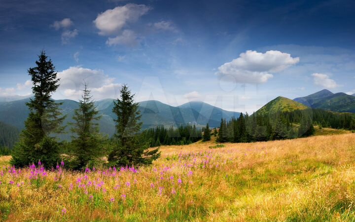 Участок 30 га (СНТ, ДНП)