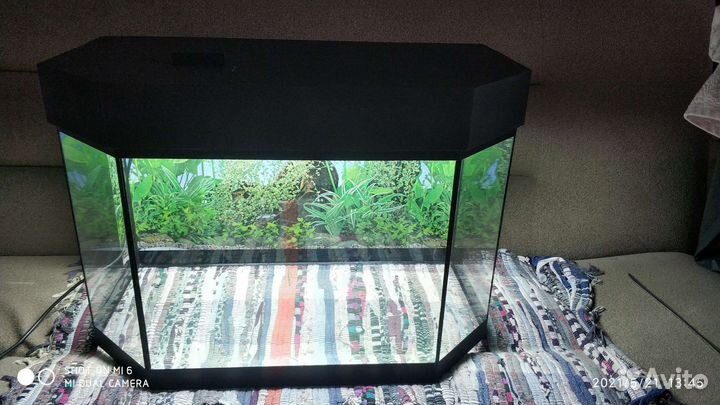 Аквариум