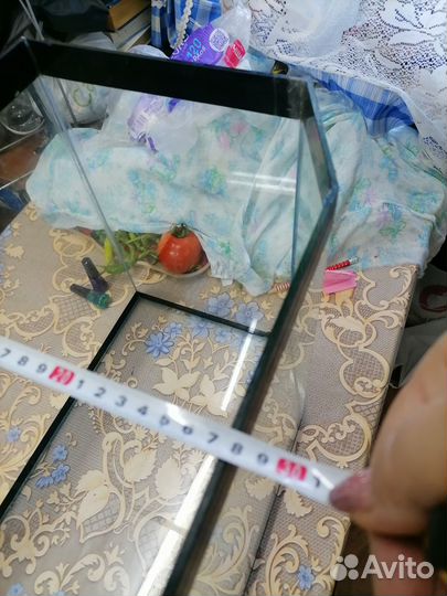 Аквариум на 60л