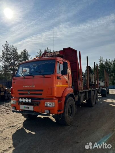 КамАЗ 43118 с КМУ, 2017