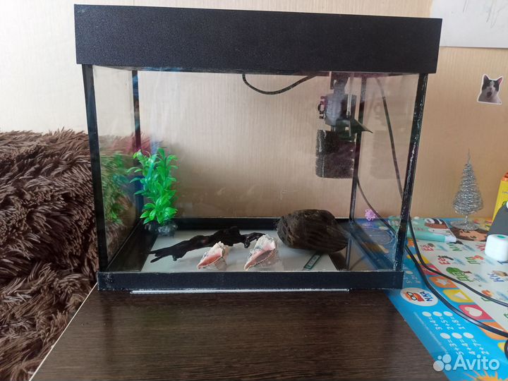Аквариум