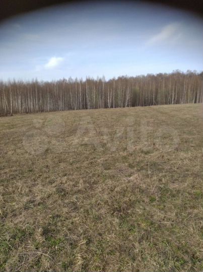 Участок 92 сот. (СНТ, ДНП)