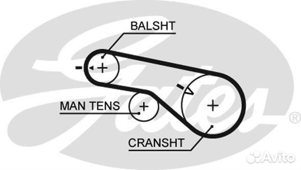 Комплект ремня грм KIA/hyundai 2.4 98