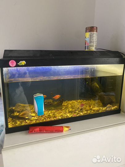 Аквариум с рыбками