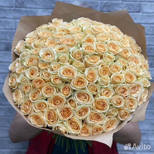 Розы цветы букеты 101 51 25 15